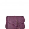 Женская сумка Trendy Bags Nata B00794 Purple