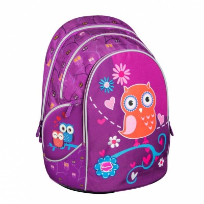 Рюкзак школьный MagTaller Cosmo lV Owl. 20613-69