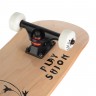 Скейтборд Playshion Art FS-WS002-9A дека 31,5"