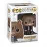 Фигурка Funko POP Harry Potter Hermione as Cat 35509