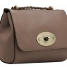 Женская сумка Trendy Bags Delice B00232 Darkbeige